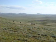 Mongol-Derby.jpg