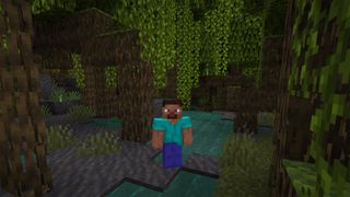 Best Minecraft Seeds mangrove swamp