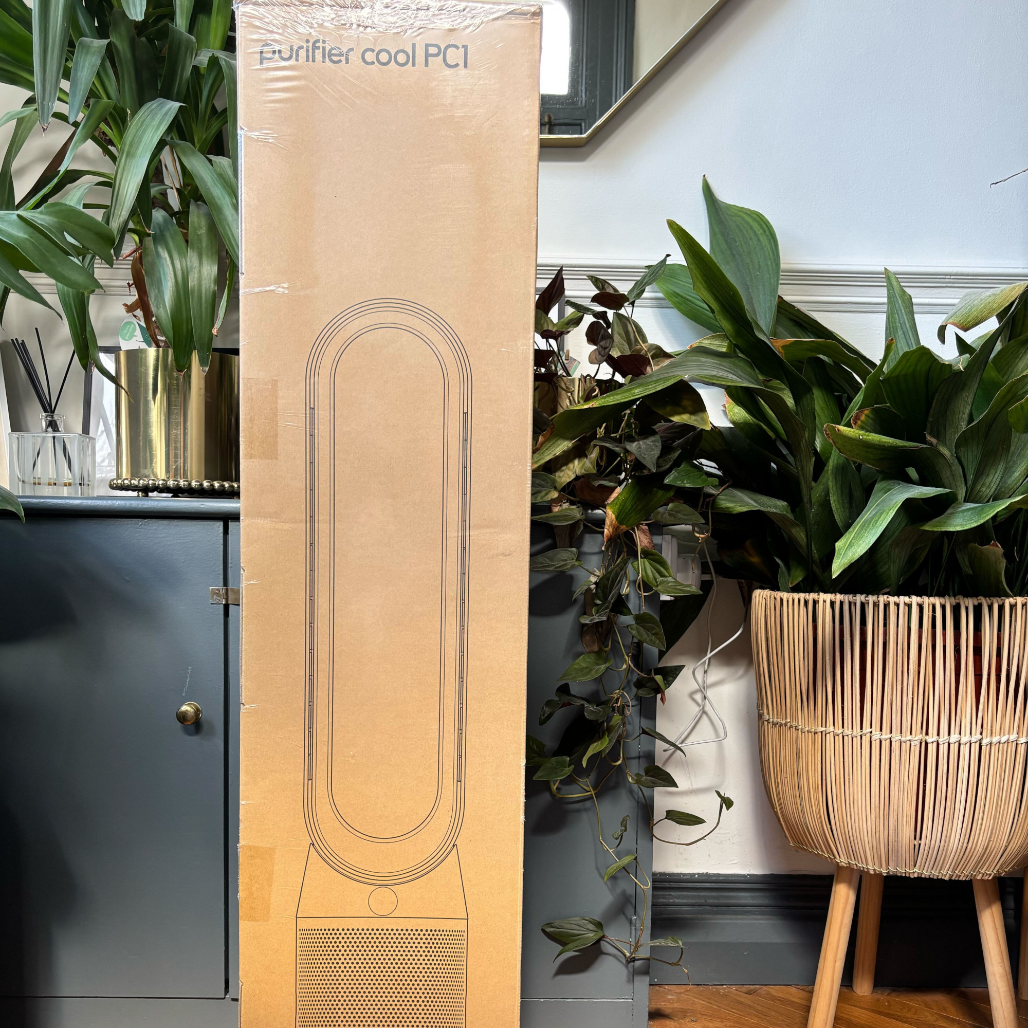 dyson purifier cool fan in its box