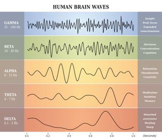 A diagram showing the frequencies of different types of neural oscillations, or brain waves.