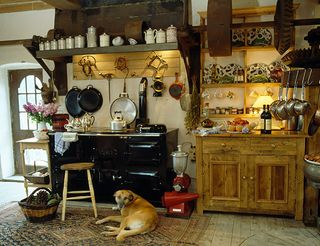 Kitchen dresser - Dog lying in front of black Aga in country kitchen