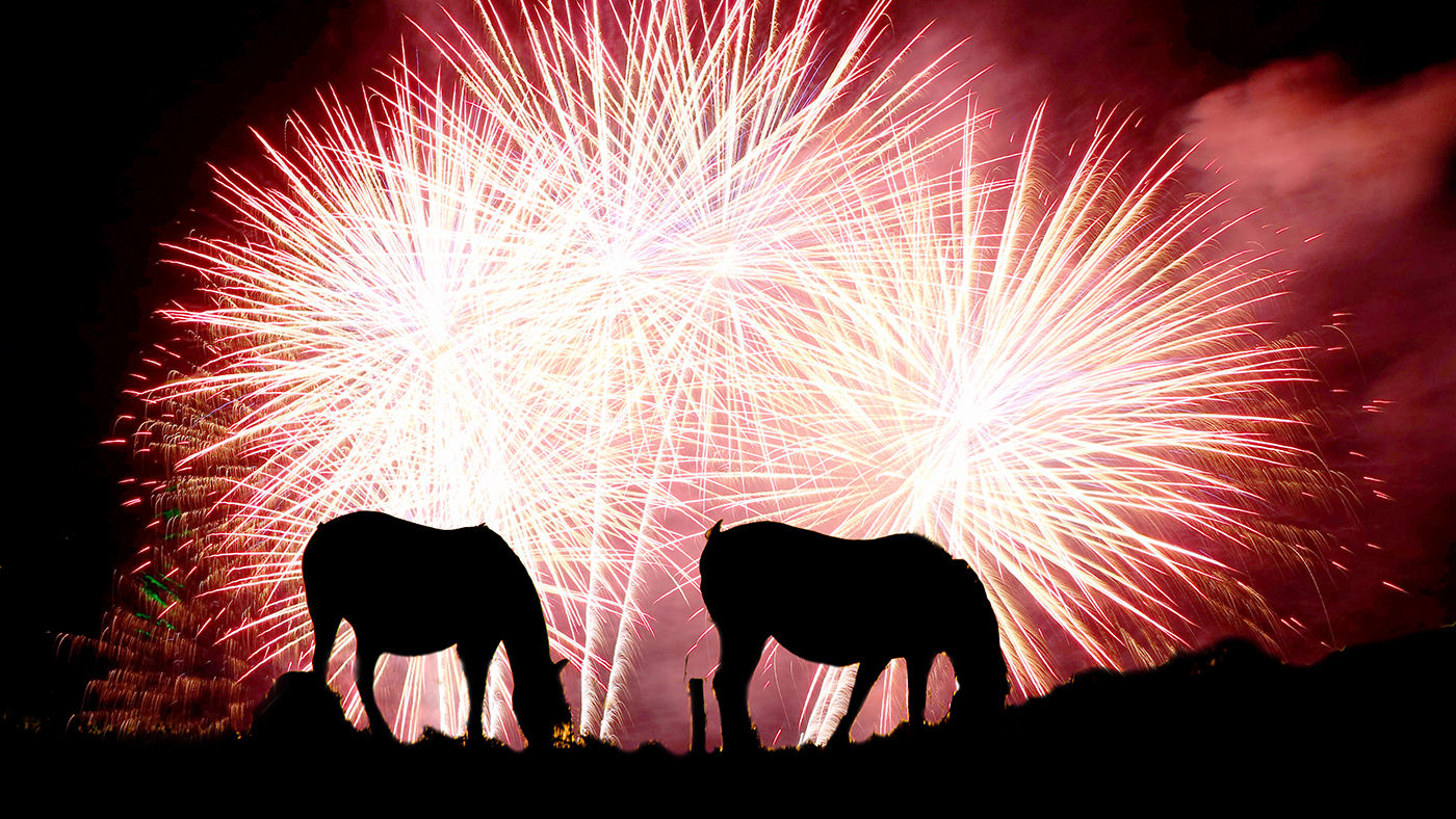 MPs will debate fireworks regulation at Parliament on 9 December.