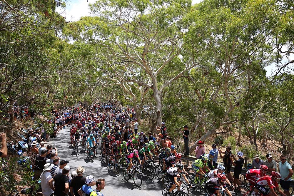 The trees on Willunga Hill offered some shade to the riders