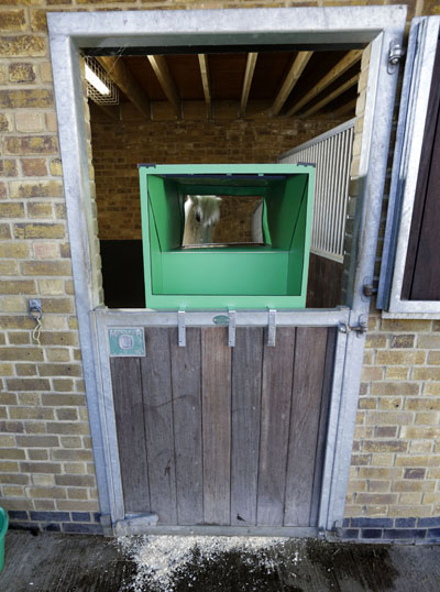 Pedro door 3