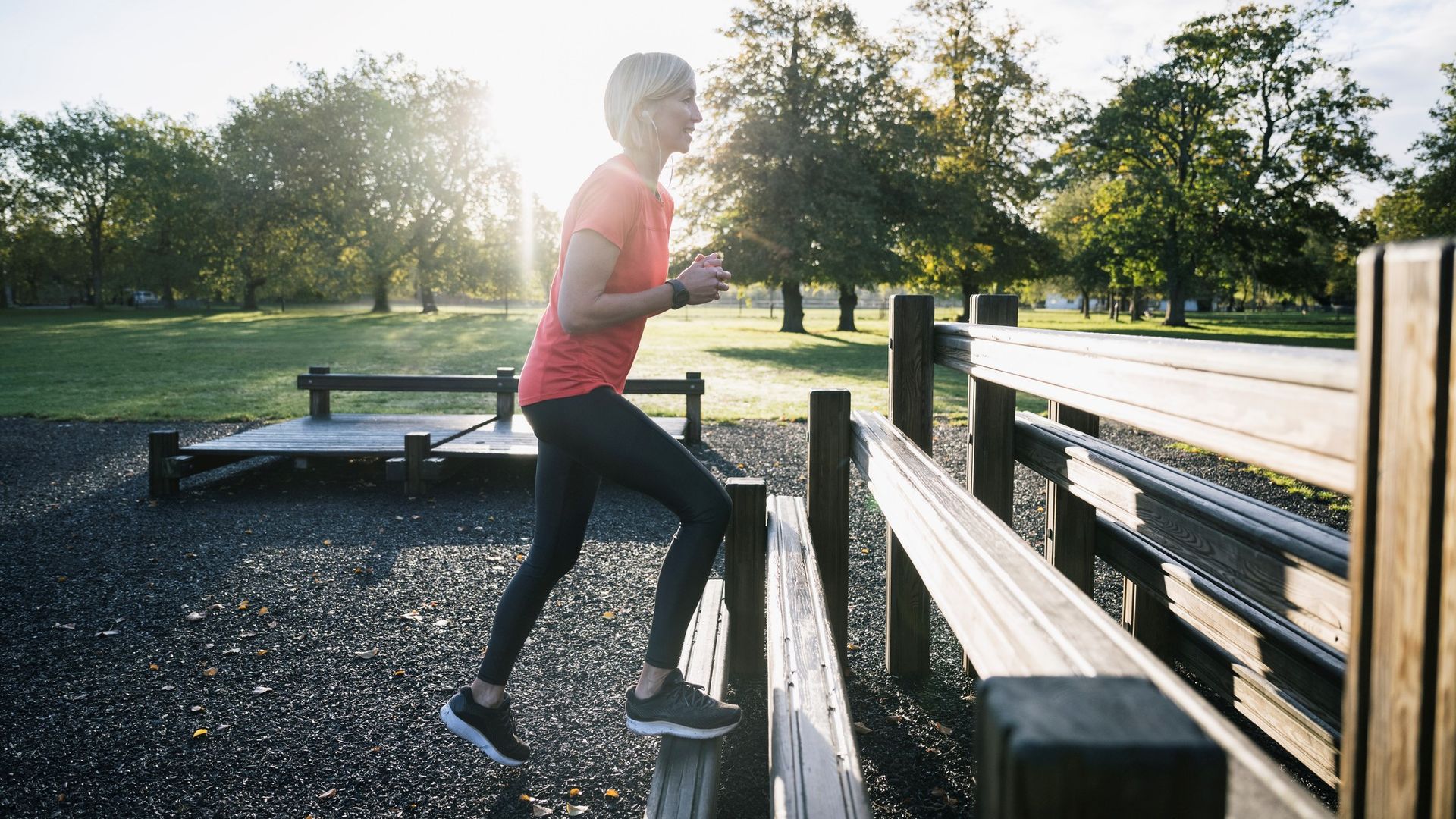 How to do weighted stepups Tom's Guide