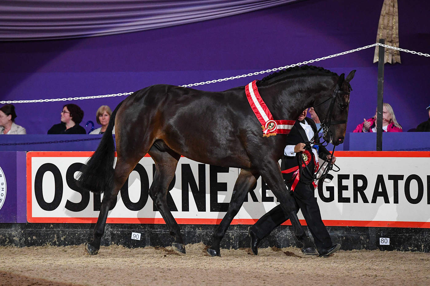Tell Me Another is the Price Family in-hand champion at HOYS 2021