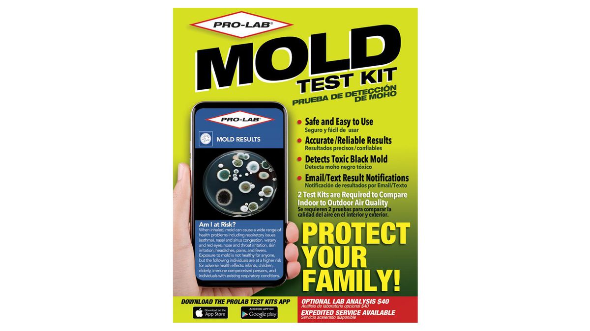 Pro Lab ~ Mold Test Kit ~ safe & easy to use ~ protect your family