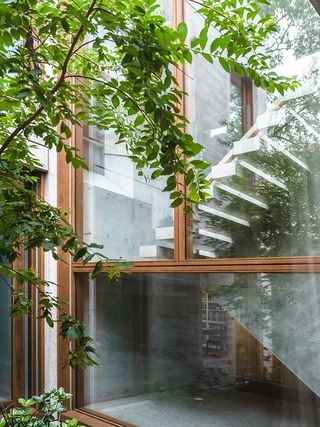 Treetops House exterior with concrete against foliage