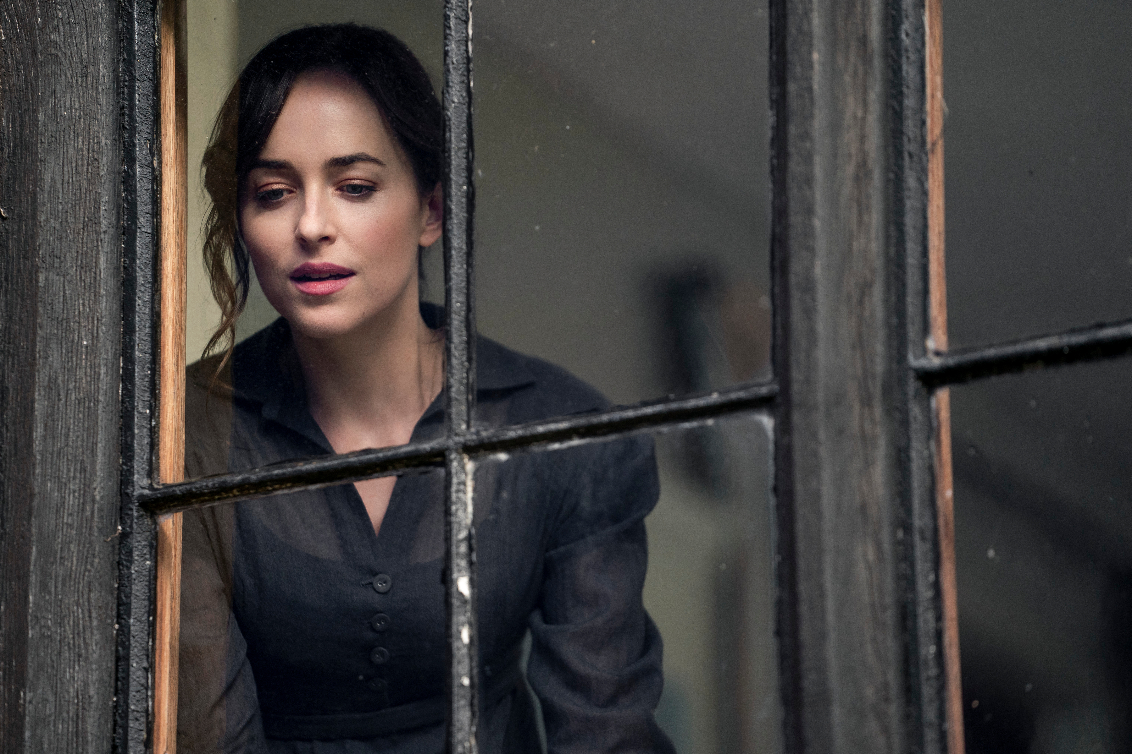 Přesvědčení.  Dakota Johnson jako Anne Elliot v Persuasion