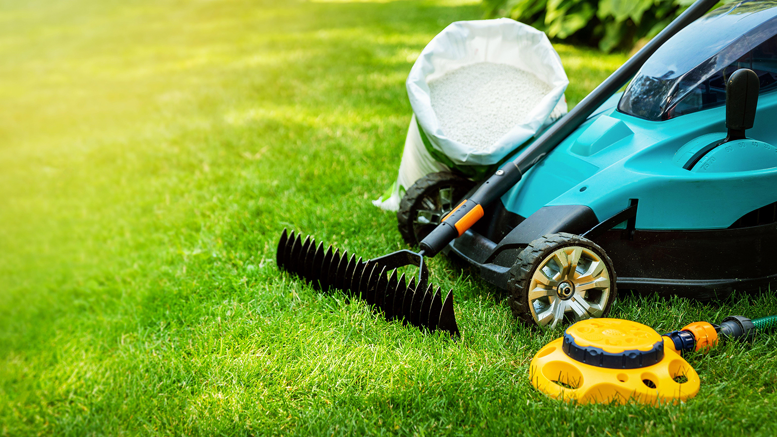 Selection of lawn care products