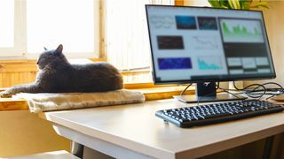 A desktop computer with wondows open on a desk with a keyboard and a cat sunbathing on a windowsill behind it