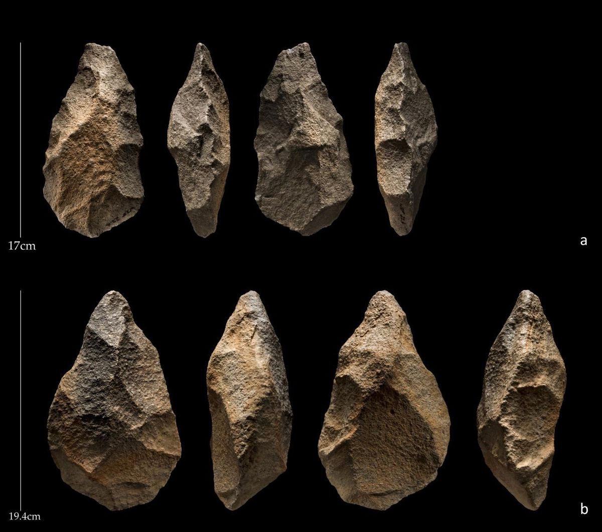 Ancient Hominins May Have Lived Alongside Modern Humans in Arabia ...