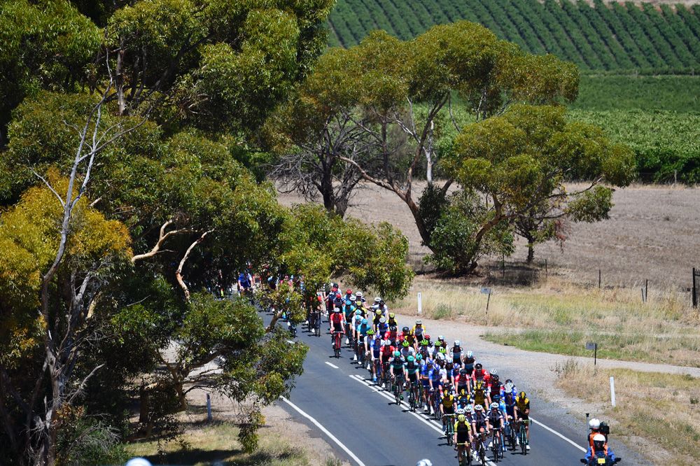 The riders pass through a South Australia vineyard