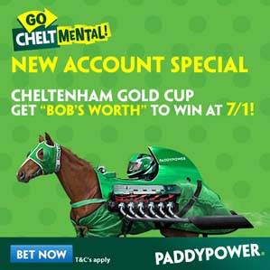 PP_Cheltenham_2014_BOBSWORTH.jpg