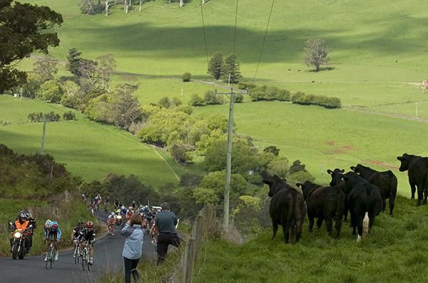 There were some interested onlookers at the climb near Gunns Plains.