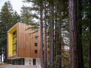 timber cladding among trees at the Kresge College extension by Studio Gang