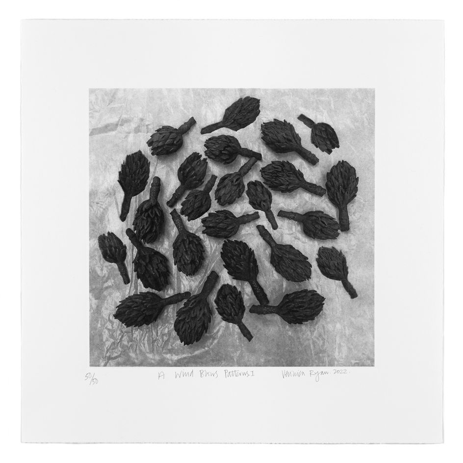 Veronica Ryan A Rüzgar Esiyor Desenler I, 2 o 2 2