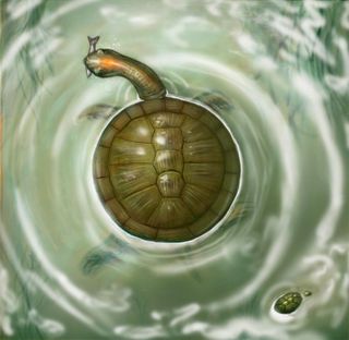 An illustration of a giant, round turtle that lived 60 million years ago.