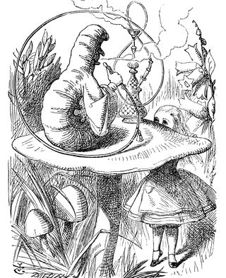 Trippy Alice In Wonderland Caterpillar Drawing
