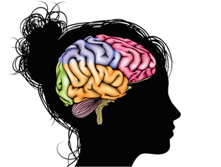 An artist's image of a woman's brain.