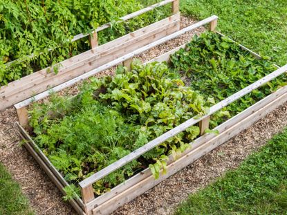 Tips For Designing Raised Garden Beds | Gardening Know How