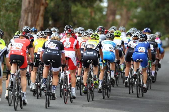The bunch heads off into the trees