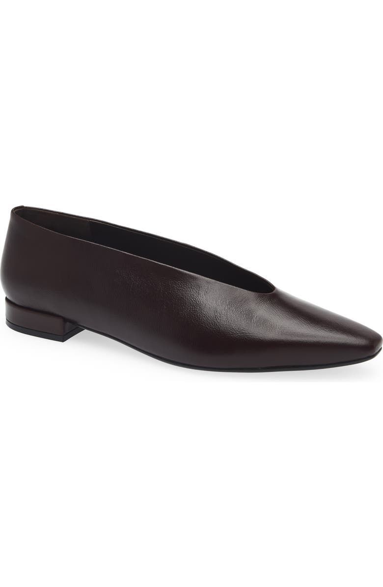 Hinted Pointed Toe Flat