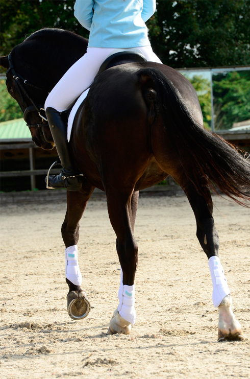 Flatwork Wraps