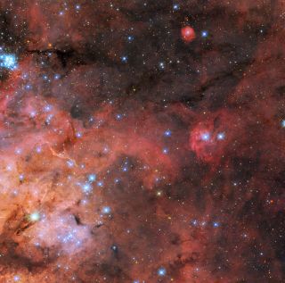 A cluster of small, bright blue stars can be seen in the bottom-left corner of this new view of the Tarantula Nebula from the Hubble Space Telescope.