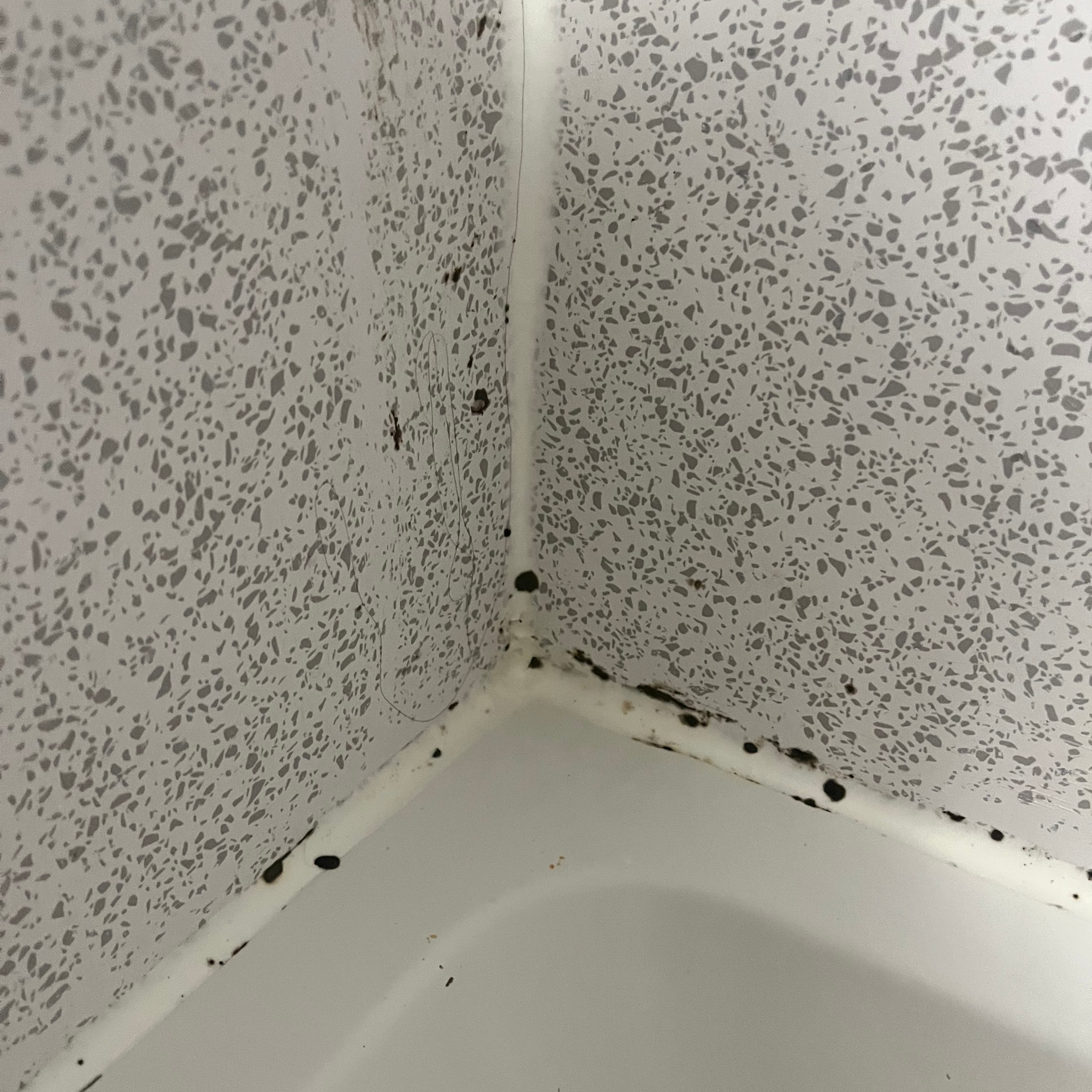 Before image of my shower before applying mould gel. There is black mould in the grouting.