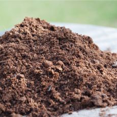 A small pile of soil