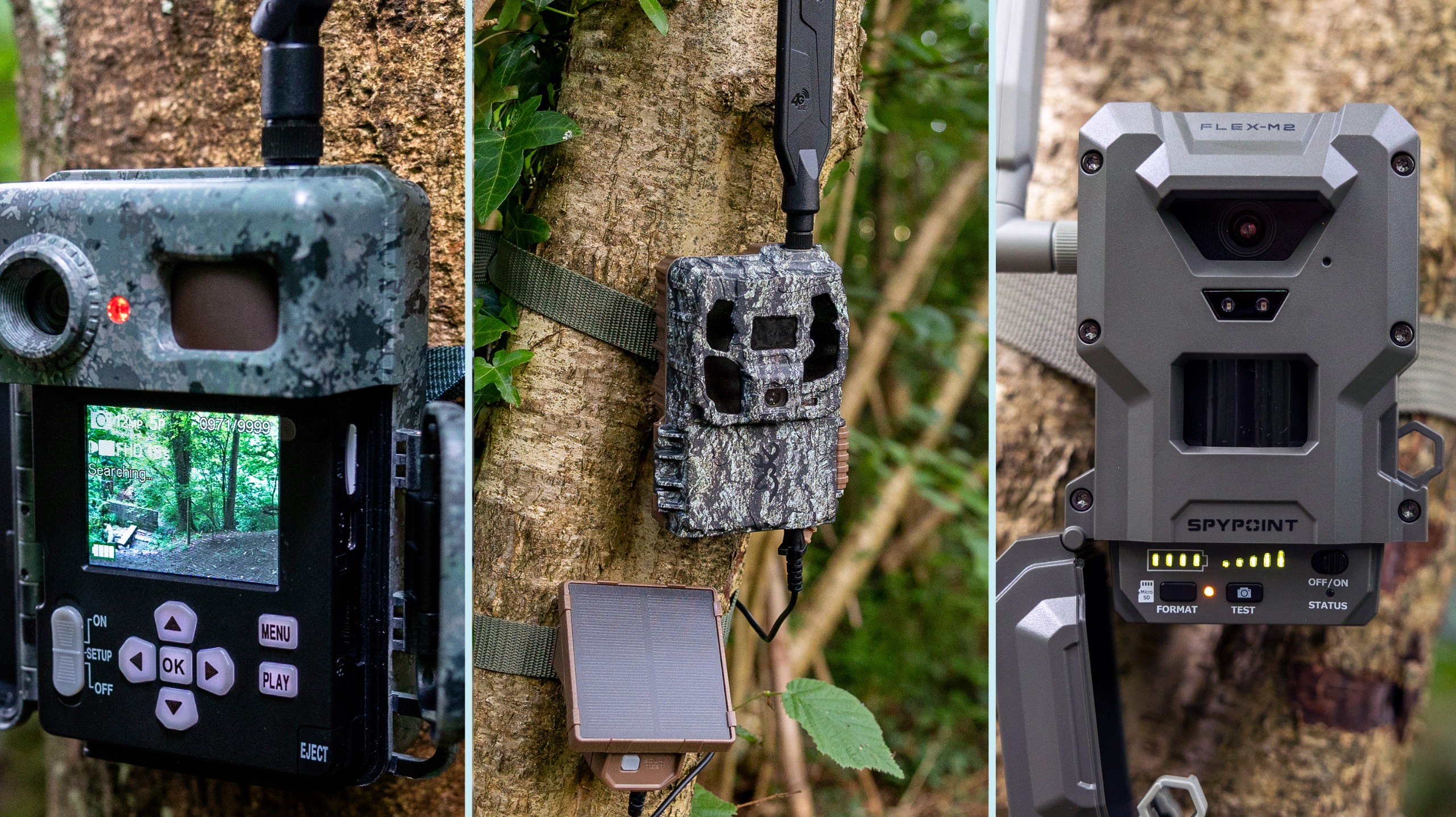 A collage of three trail cameras mounted to a woodland tree