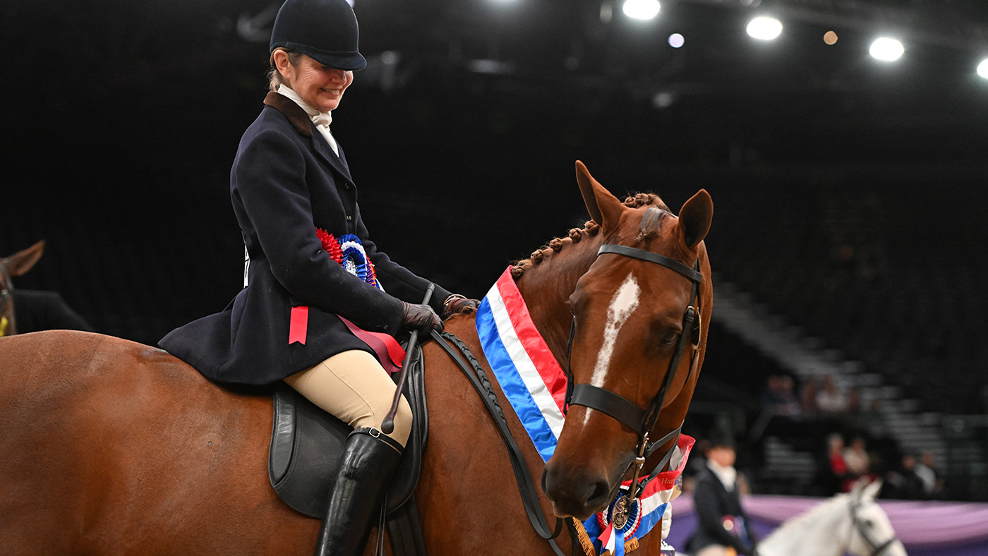 HOYS winners 2023