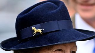 Close-up of Princess Anne's brooch from the final day of Cheltenham