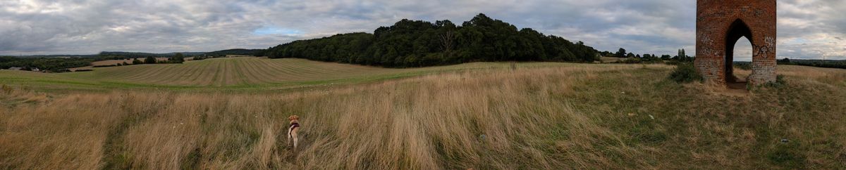 pixel 9 vbs pixel 8a panoramas of a tower on a moor with dogs in shot