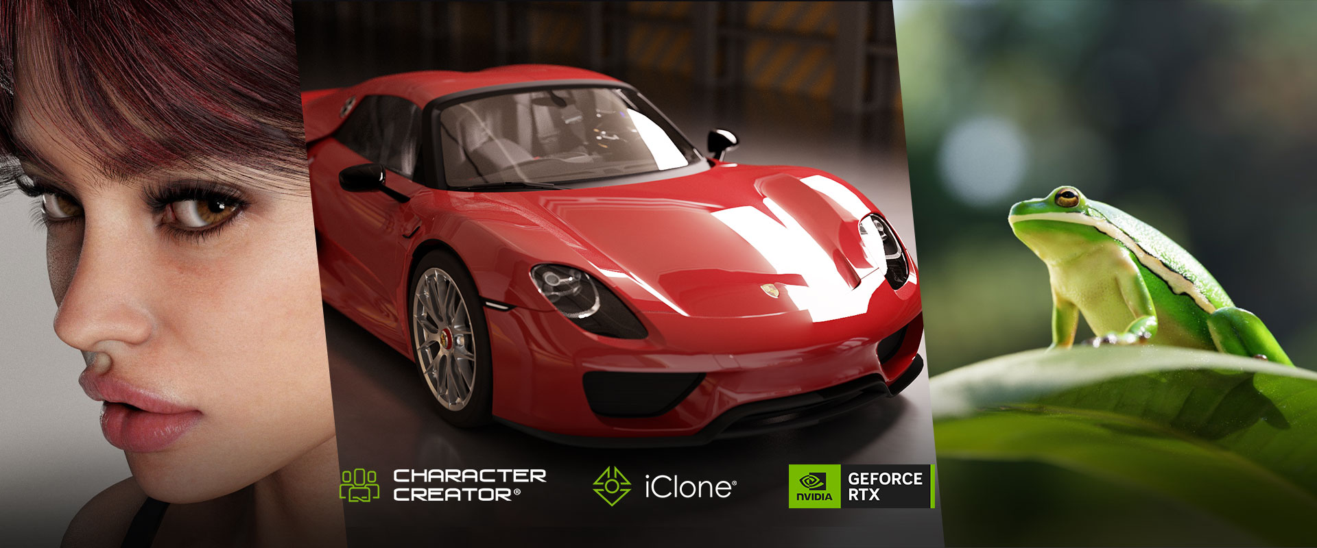 Reallusion software in use