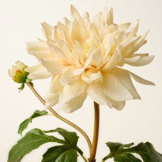 Real Touch Oversized Dahlia Stem