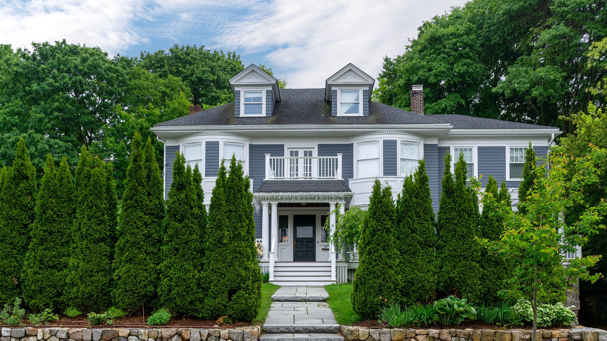 Arborvitae trees surrounding house