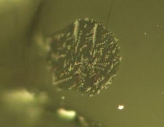 Tiny dots of molten magma, caught in olivine crystals, show evidence of volatile gases in lunar glass samples.