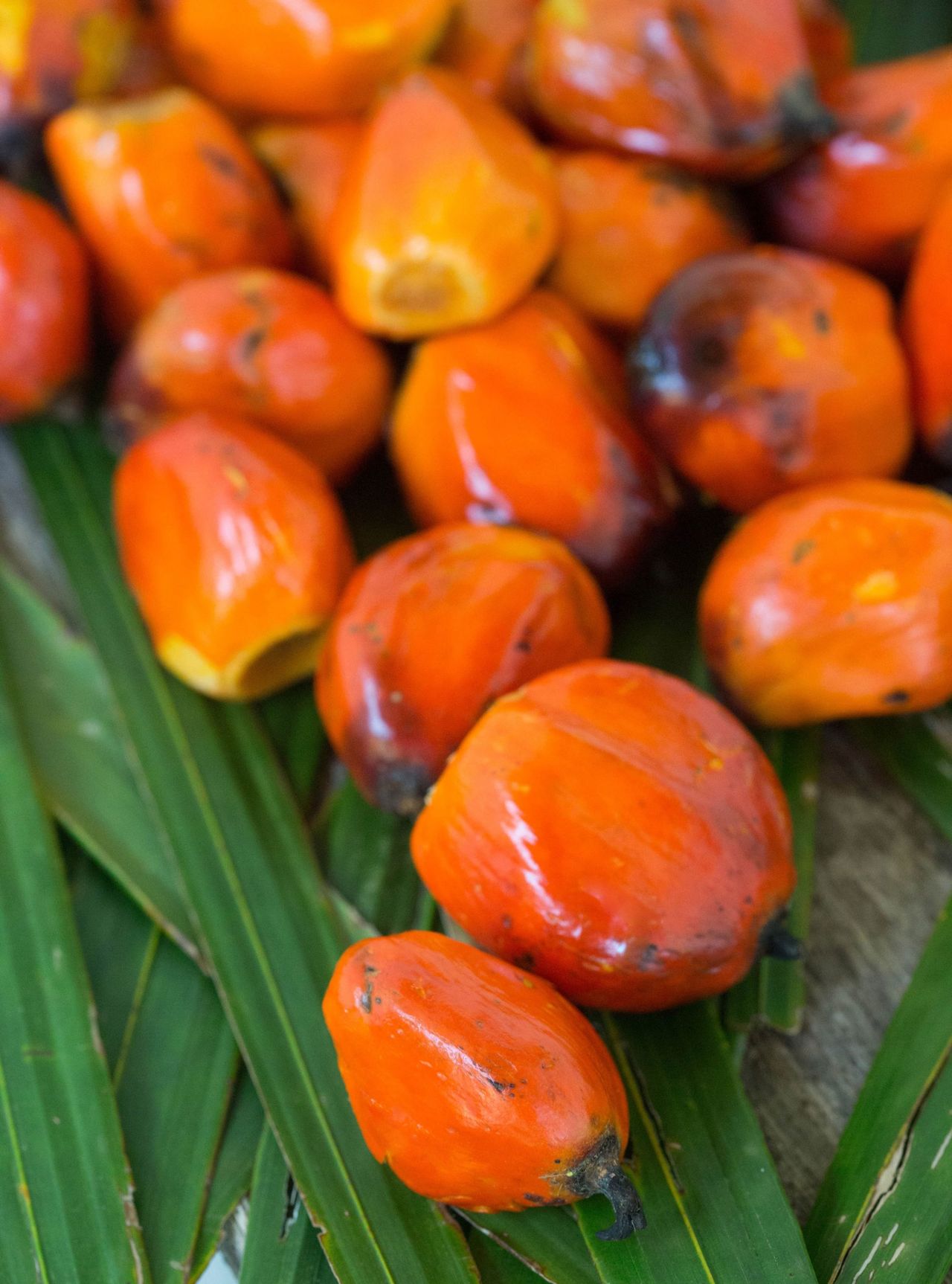 Palm Oil 