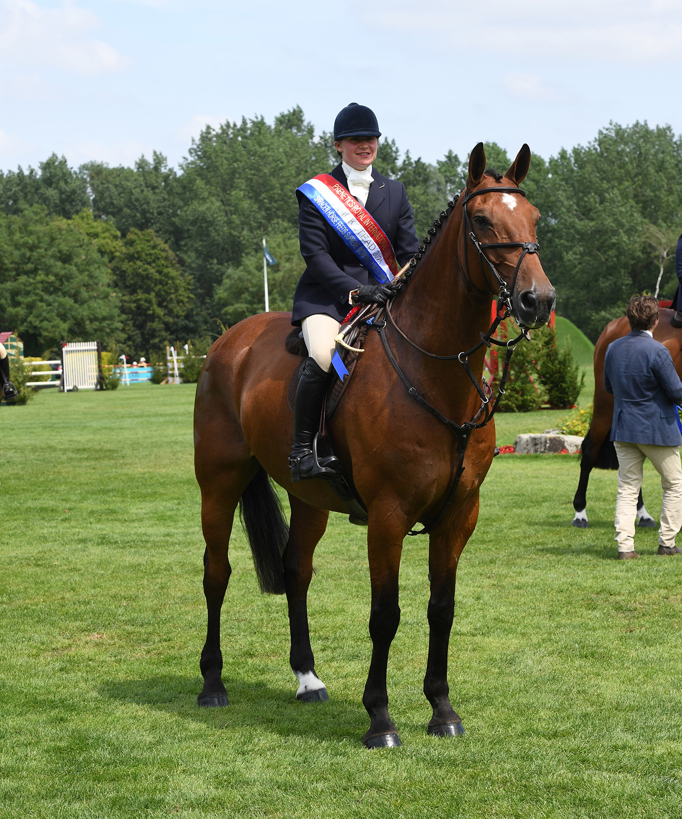 MJM LASZLO11 / / Gelding / / / Nicole Lockhead Anderson