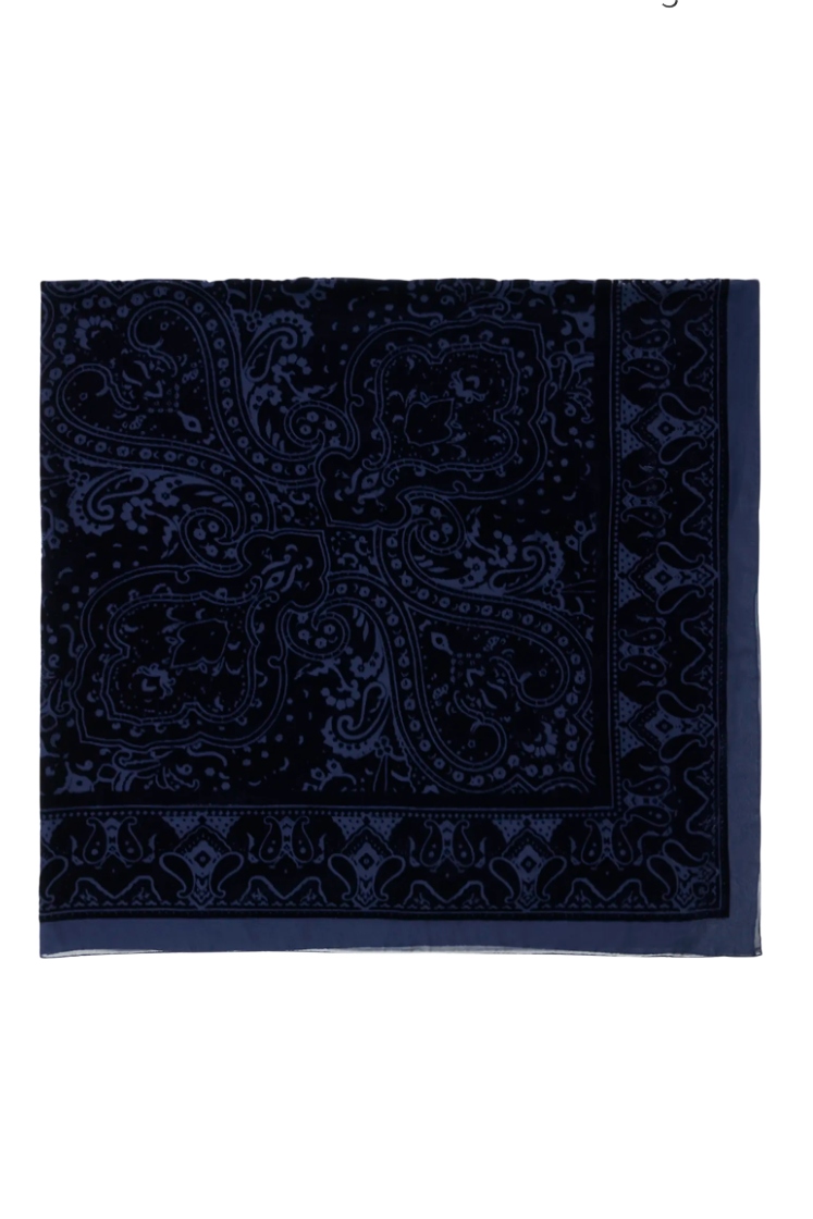 Etro, Aida Flocked Paisley Shawl