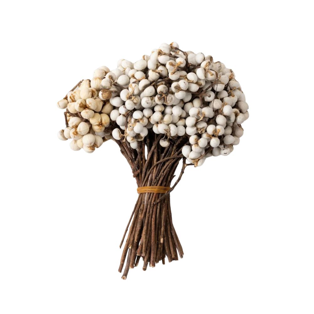 Natural White Dried Tallow Berries