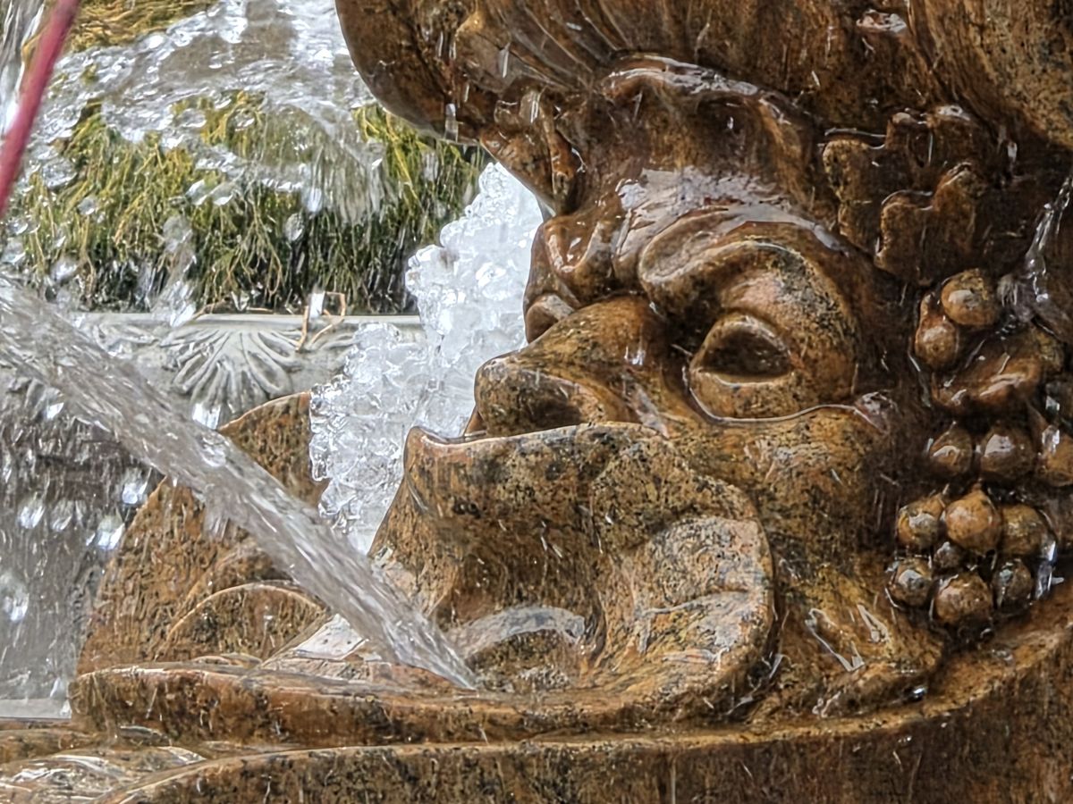Samsung Galaxy S25 Ultra zoom sample.
