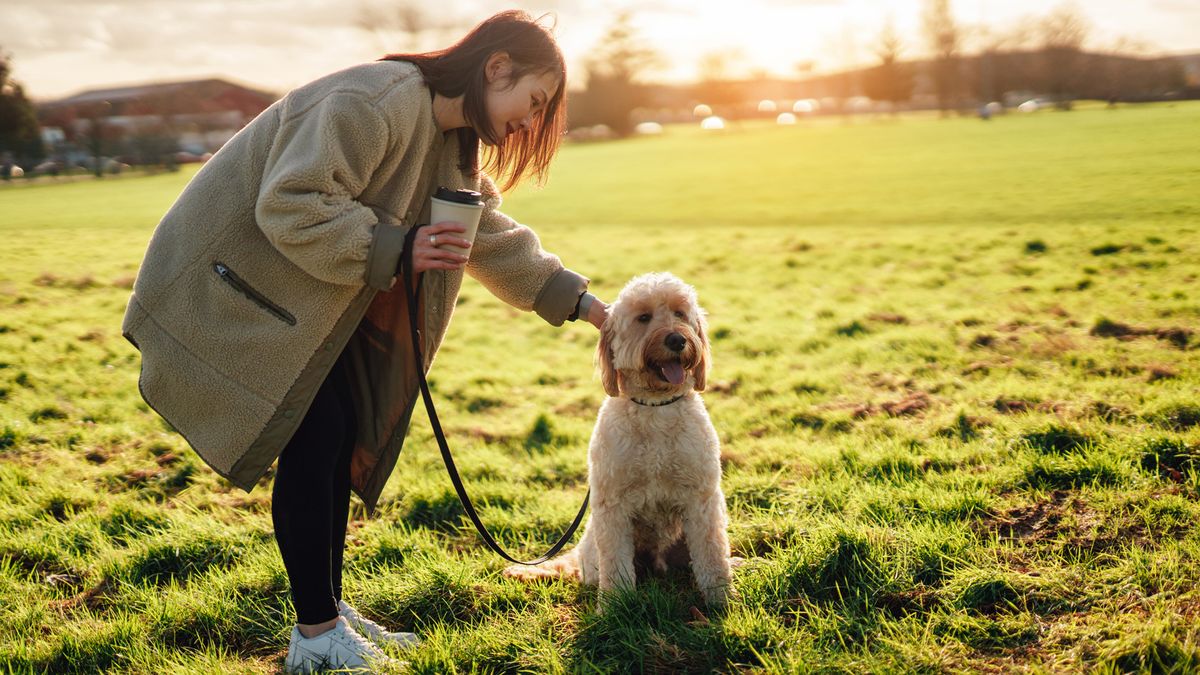 Woman stopped with dog who she has been walking on a leash in a park