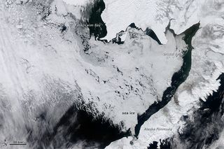 arctic sea ice extent, bering sea ice cover, 2012 sea ice numbers, global warming, arctic effects of climate change, is sea ice melting, earth, environment