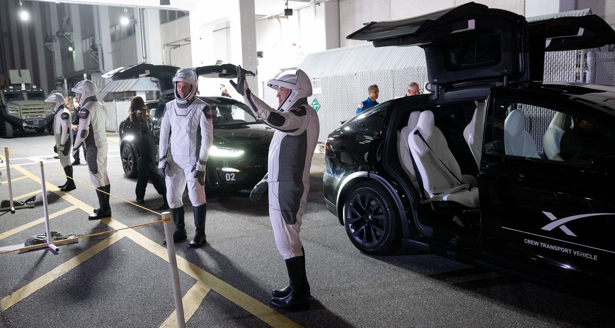 spacex crew-6