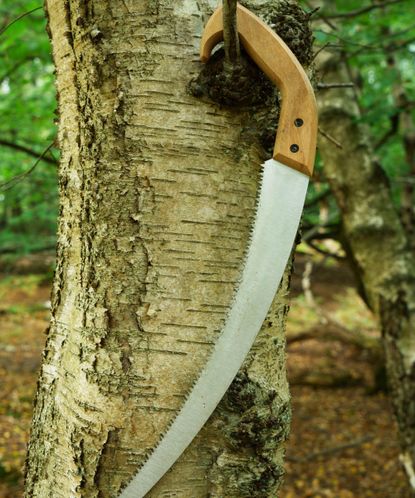 A pruning saw hanging on a branch