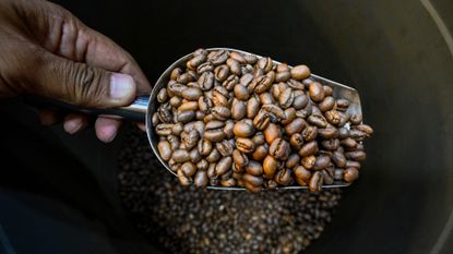 Coffee beans are seen at a roastery in Indonesia.