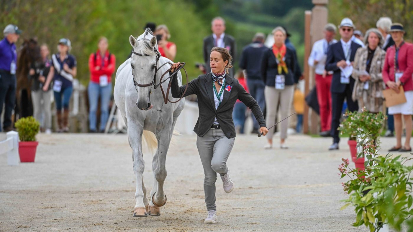 European Eventing Championships first trot-up